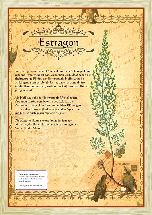 Estragon