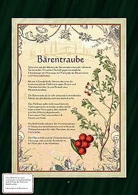 Bärentraube