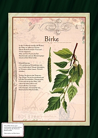 Birke