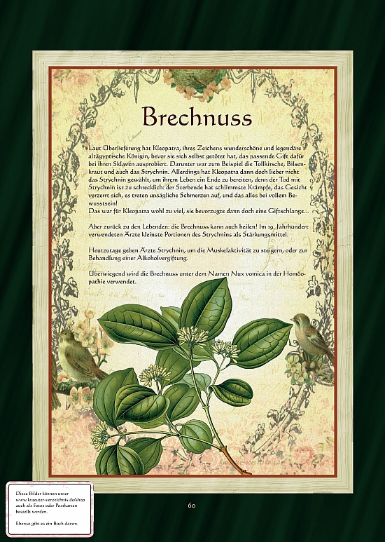 Brechnuss