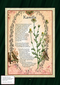 Kamille